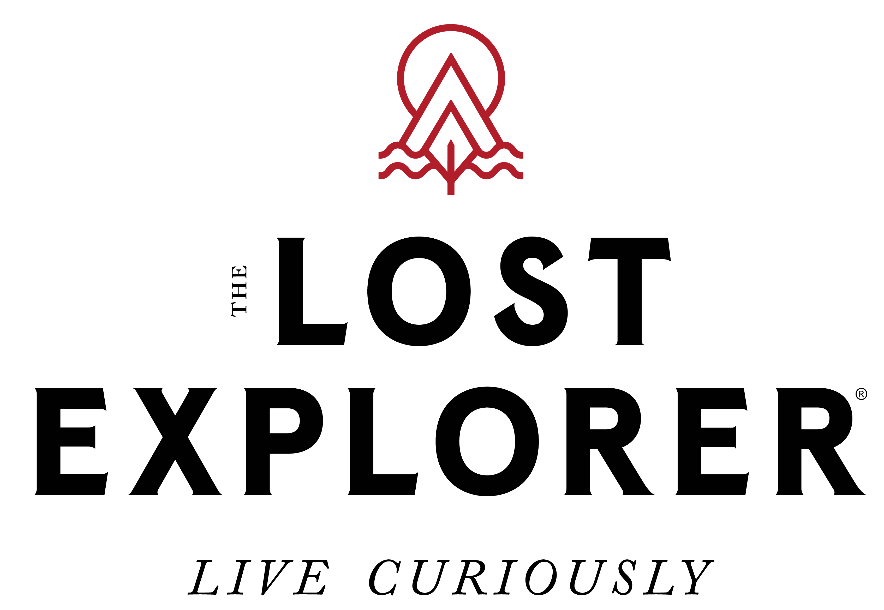 The Lost Explorer